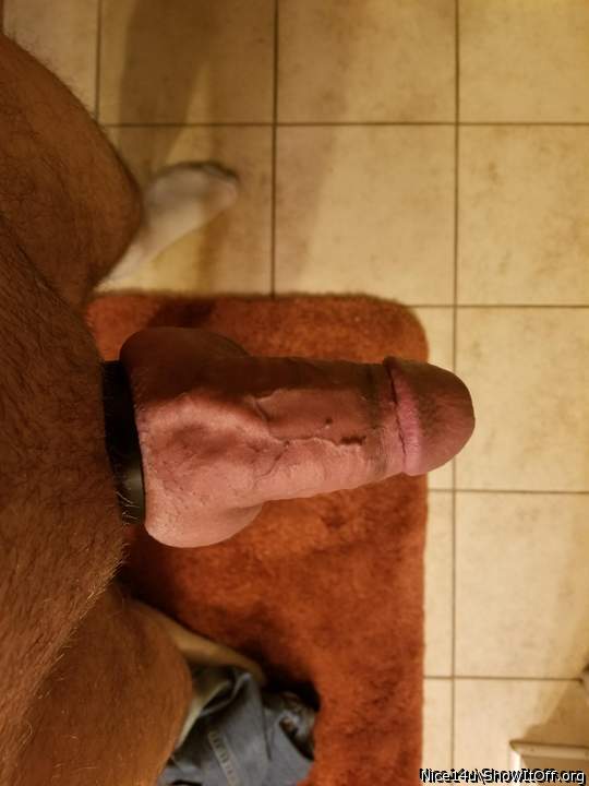 Photo of a bat from nice14u