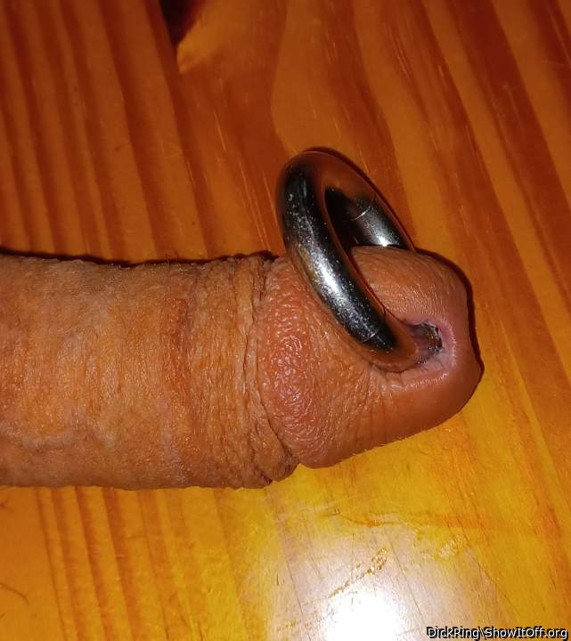 Photo of a lizard from DickRing