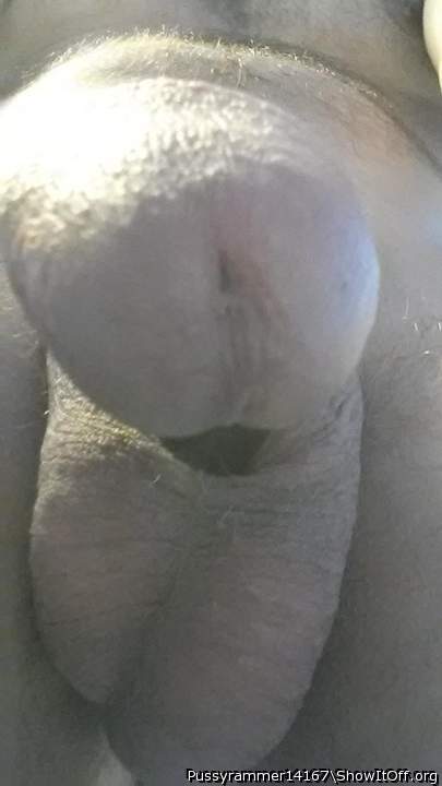 Photo of a short leg from Pussyrammer14167