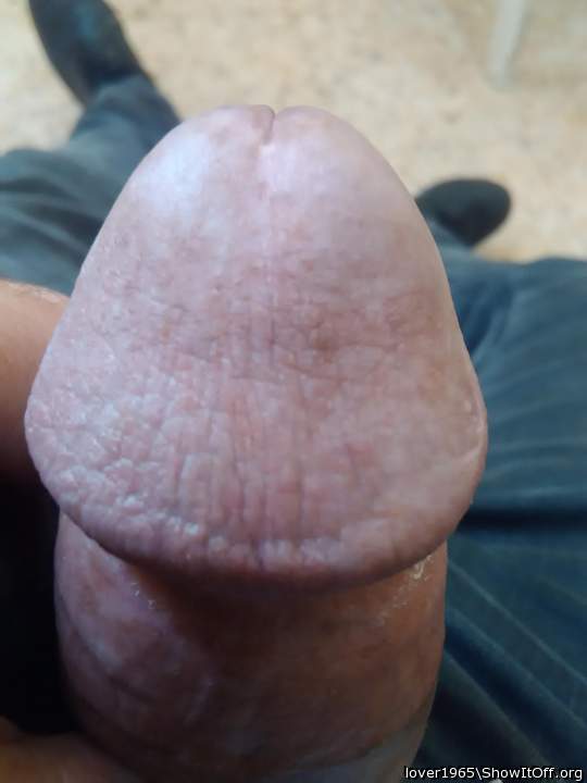 Photo of a pecker from lover1965