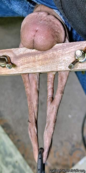 Photo of a third leg from caliber