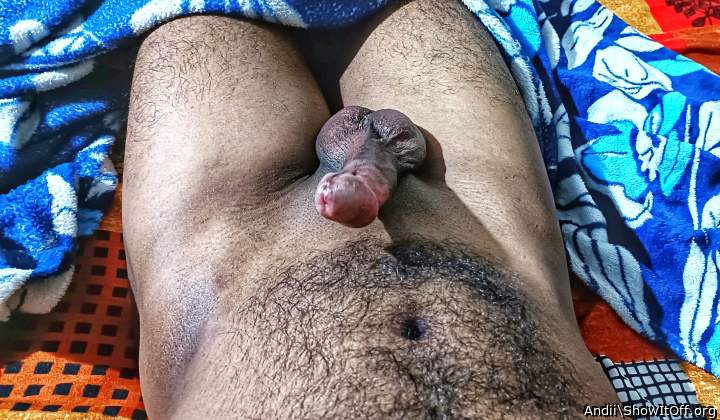 Photo of a boner from Andii
