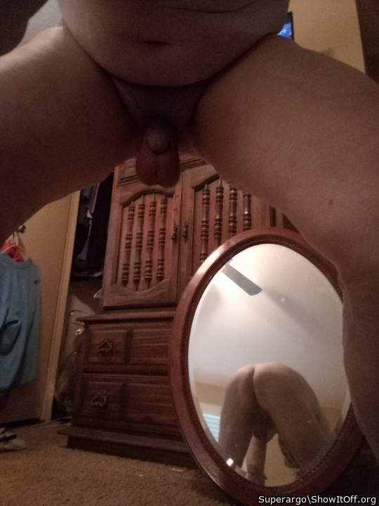 Photo of a middle leg from Superargo