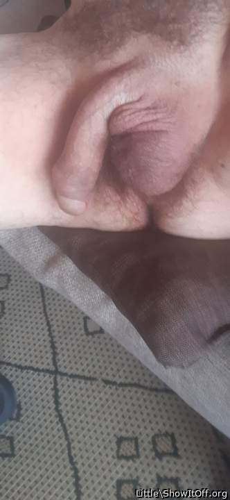 Photo of a private part from Little