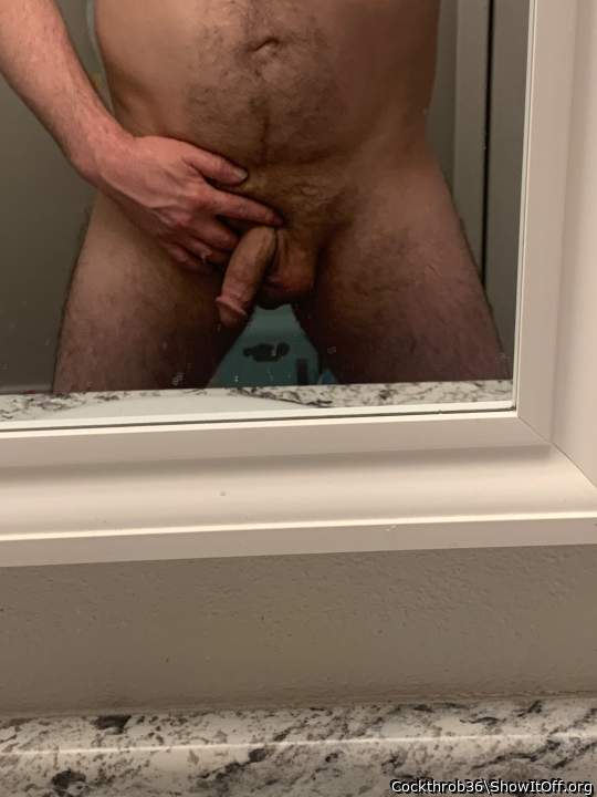 Photo of a cavalier from Cockthrob36