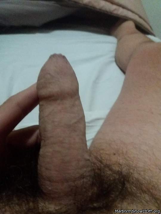 Photo of a cock from Martinm