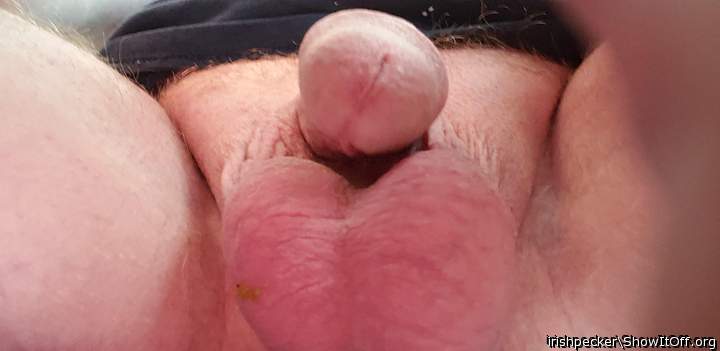 Photo of a bat from irishpecker