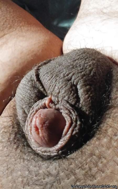 Photo of a schlong from DLGaychub