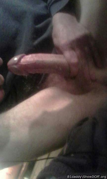 Photo of a weasel from B1daddy