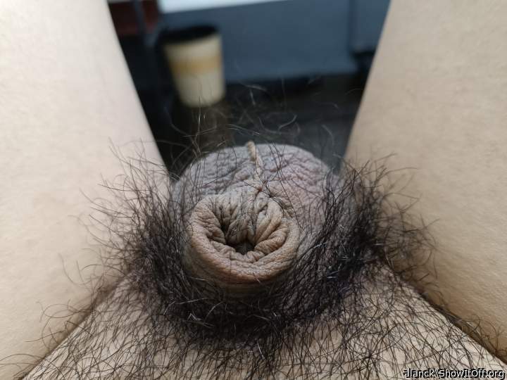 Amazing flaccid penis!    