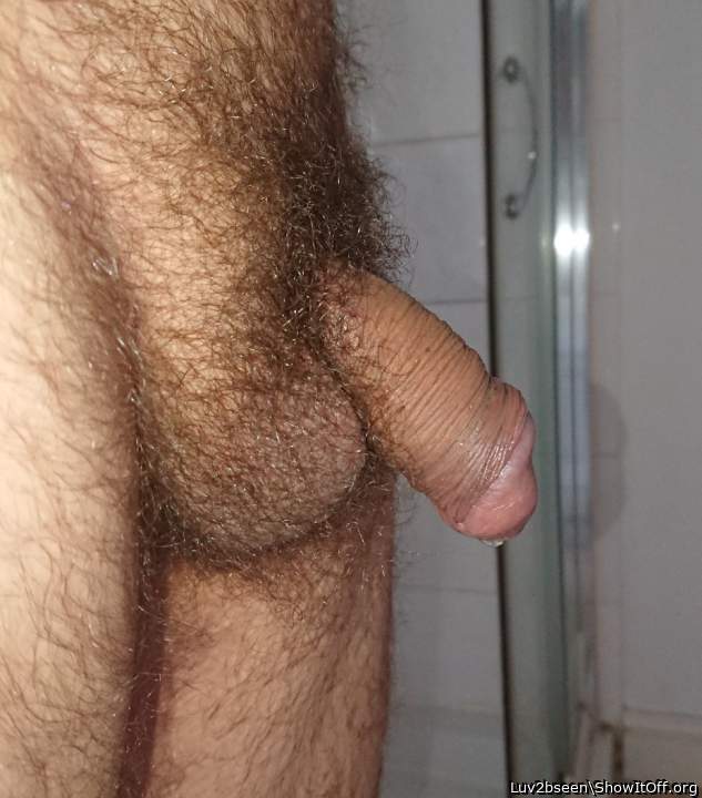 Precum drip from getting so horny on here!