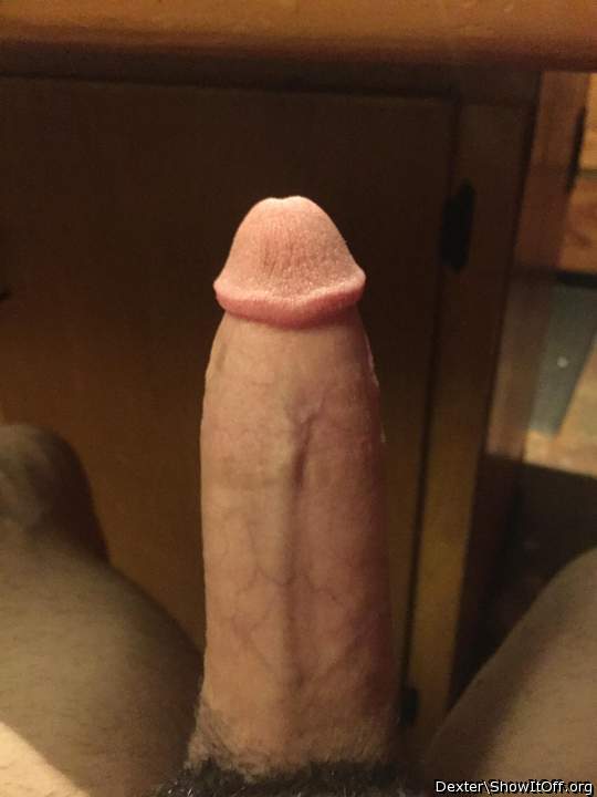 beautiful fat cock   