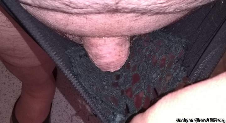 Photo of a prick from zizelyian