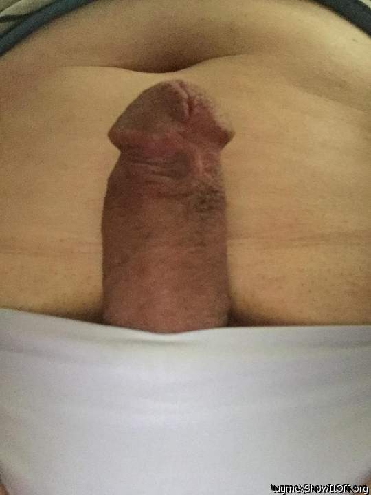 Photo of a tool from tugme