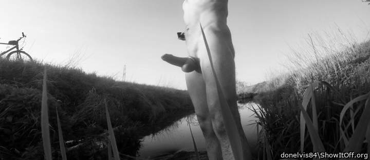River Art Hard Cock