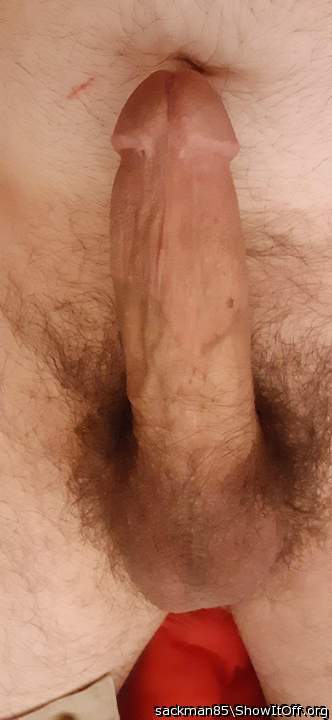 Photo of a cavalier from DeadEndSperm