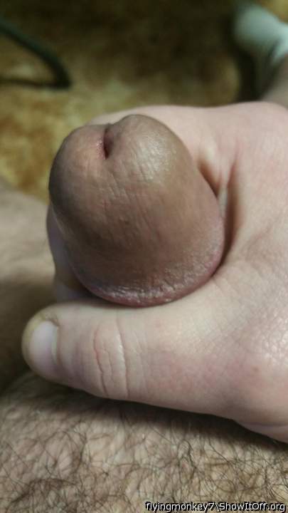 Photo of a cock from flyingmonkey7