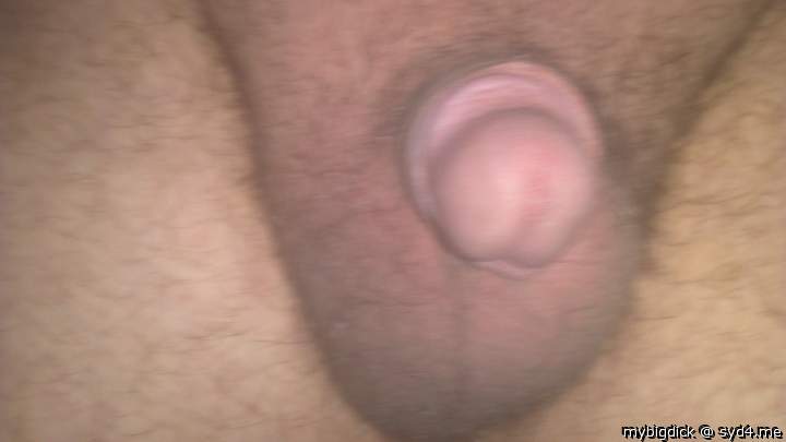 Photo of a rooster from mybigdick