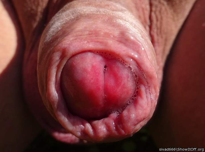 Photo of a pecker from sivad666