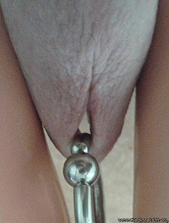 pierced glans