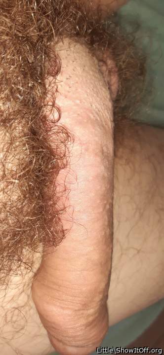 Photo of a meat stick from Little