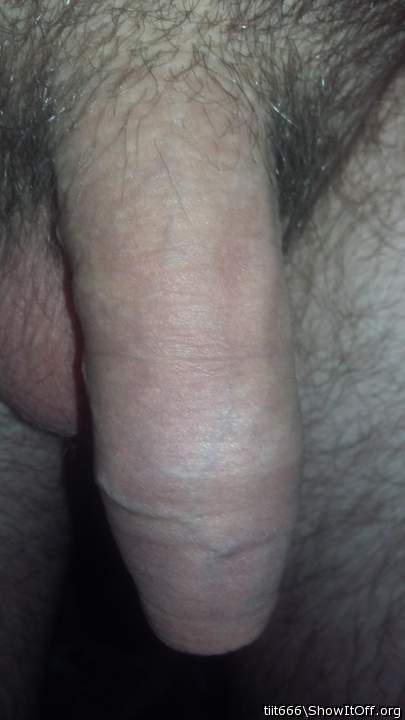 Photo of a wiener from tiit666
