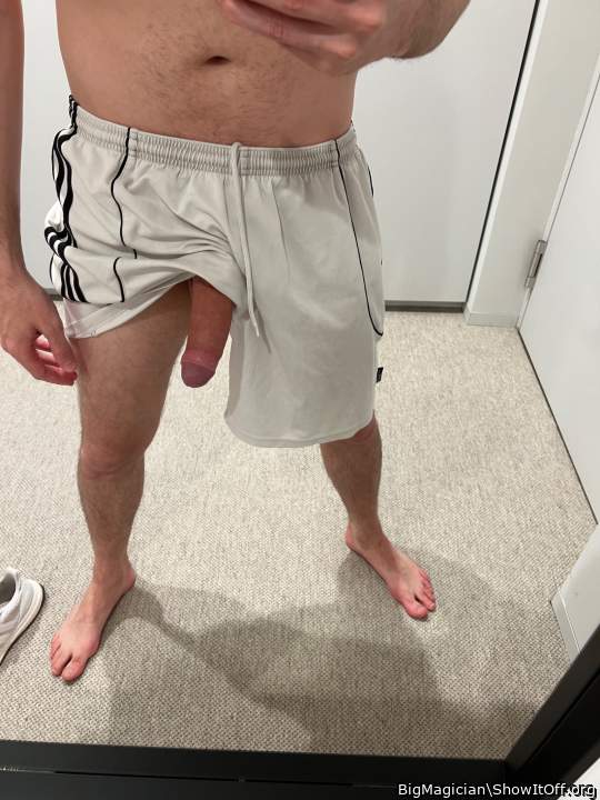 Photo of a bat from BigMagician