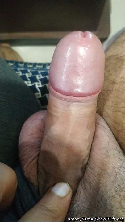 Pink shiny head