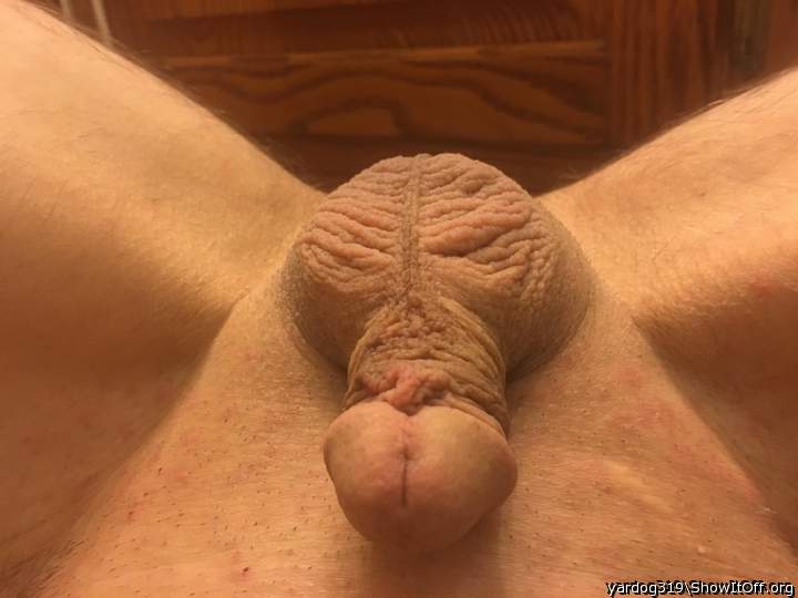 Damn that looks tasty