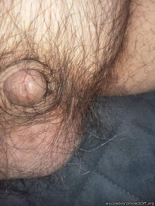 Nothing more masculine and pleasing than a HAIRY man, wycowb