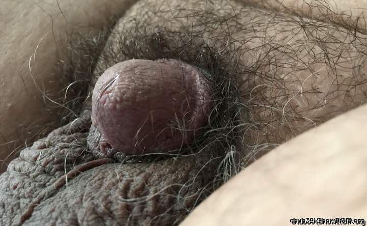 Photo of a thing from chub39