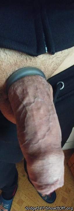 Photo of a stiffie from dodge247
