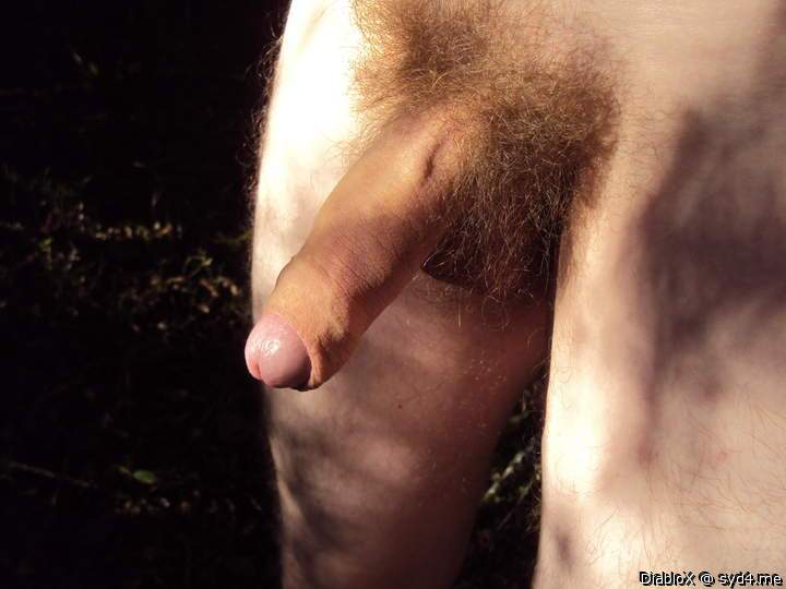 penis in nature