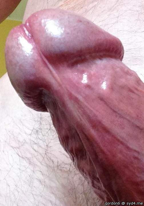 Photo of a hot dog from gordon6