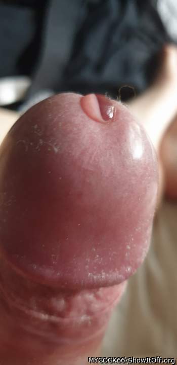 Mmmmmmmmm I do love a bit of precum, so sexy and tasty   