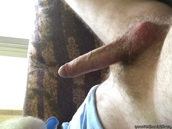 Photo of a hot dog from peter79