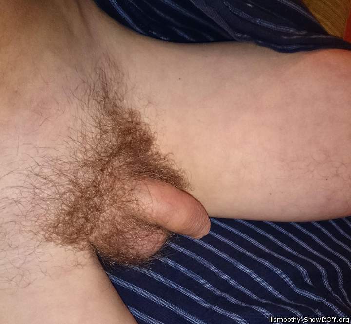 Photo of a bat from lilsmoothy