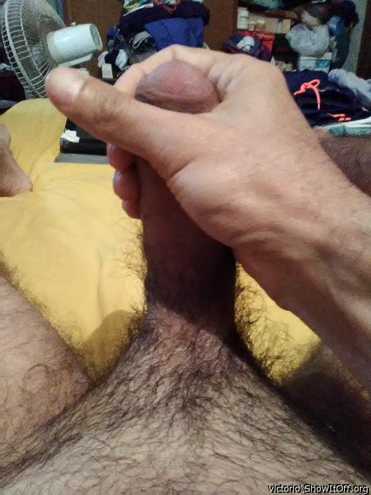 Photo of a meat stick from victorio