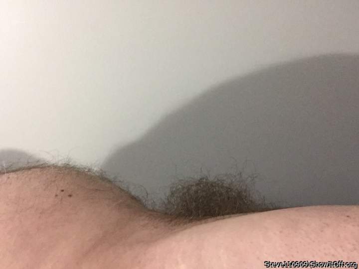That is some bush you have growing
