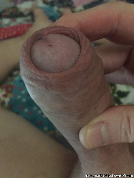 Very attractive cock. Great profile page 