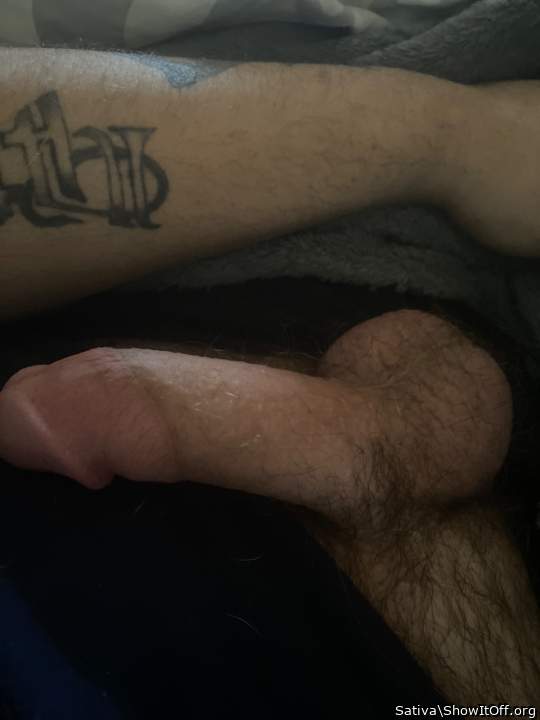 Photo of a wiener from Sativa