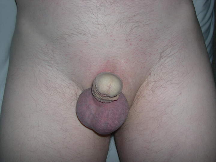 Photo of a meat stick from jollyroger