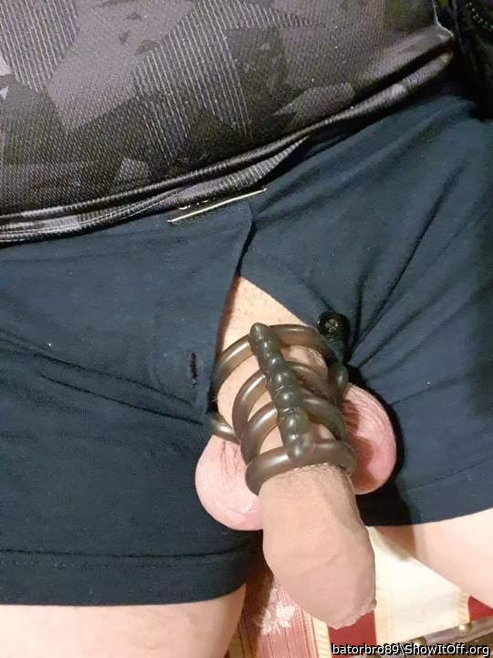 Photo of a weasel from batorbro89