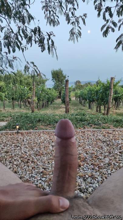 Enjoy the view [27]