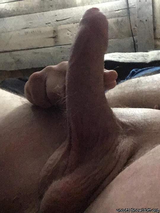 Nice uncut dick!  Great foreskin coverage!  So jealous!     
