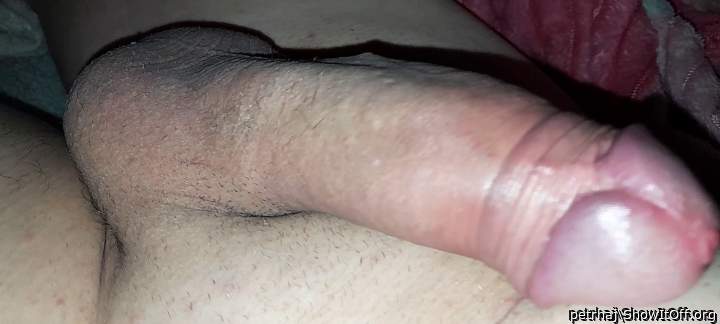 my hard and shaved dick)