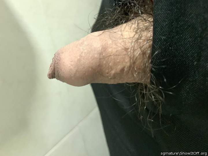 Erected Dick