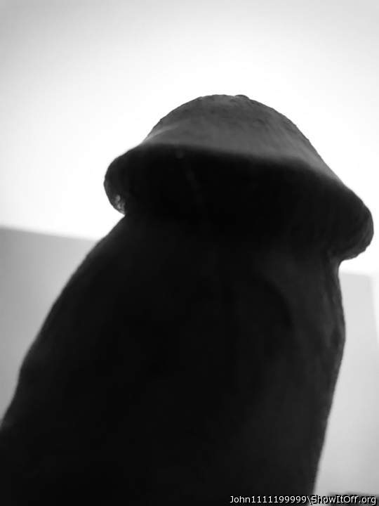 Photo of a horn from John1111199999