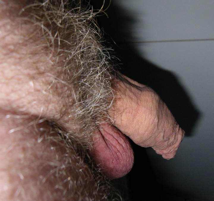 Your bush is incredible.............