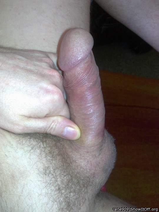 Photo of a cock from rene909